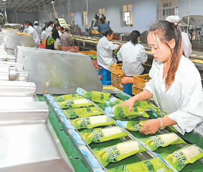 “十四五”農業綠色發展路線圖 農業開發的新篇章